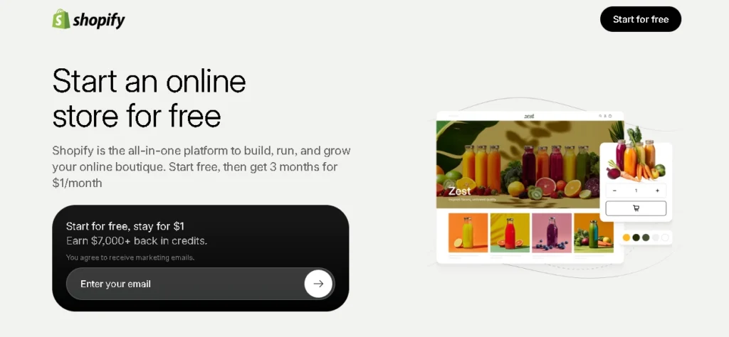 Shopify: Best for store owners who want it handled.